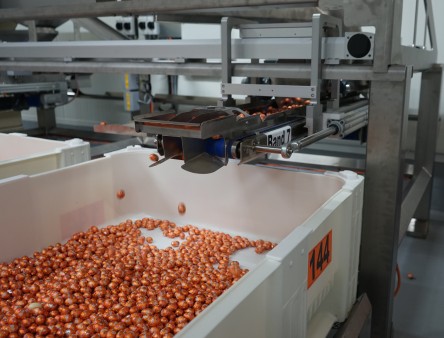 Mondelez eggs in crate