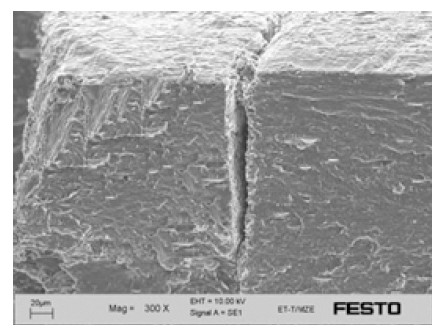 Scanning electron microscope micrograph