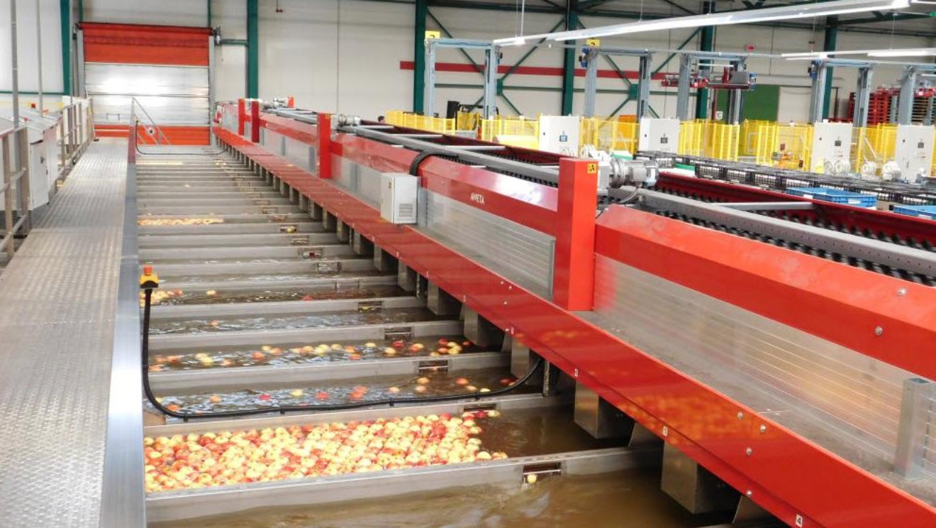 Stas Fruitsorteerder