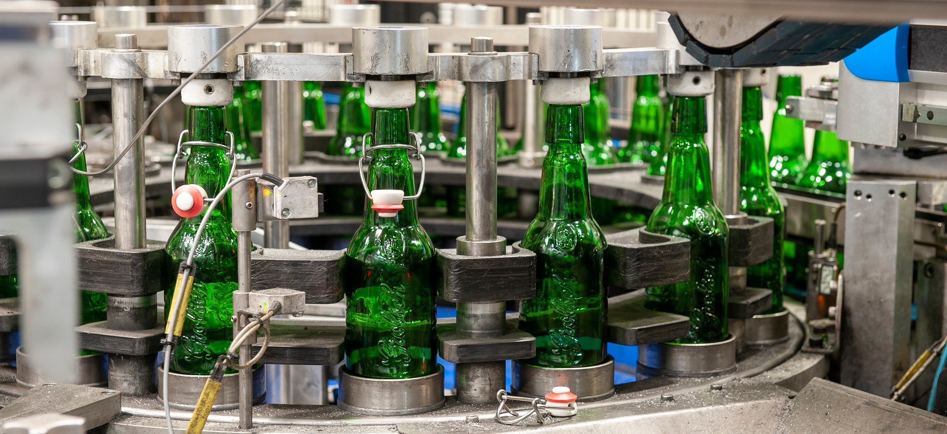 mainfoto_grolsch