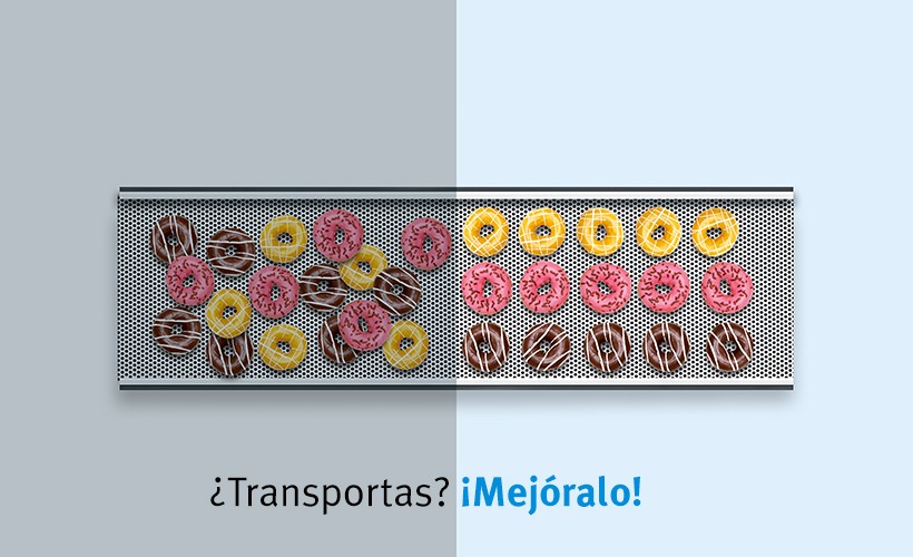 Bulk_Transportas