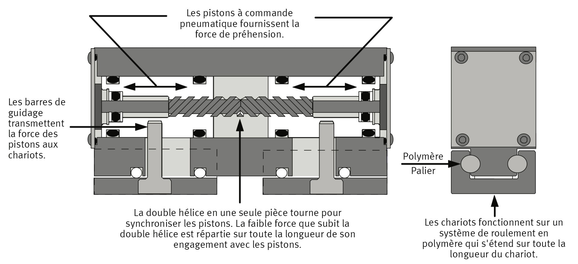 Pinces ZAYTRAN Festo CA