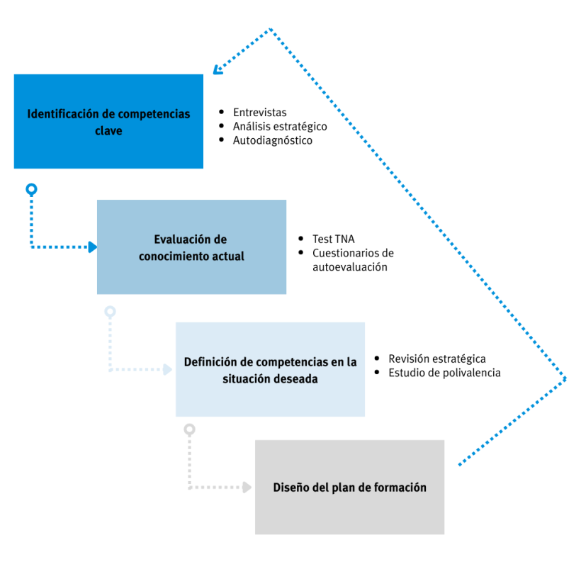Fases del Proyecto TNA