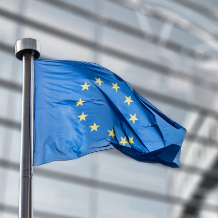 European flag