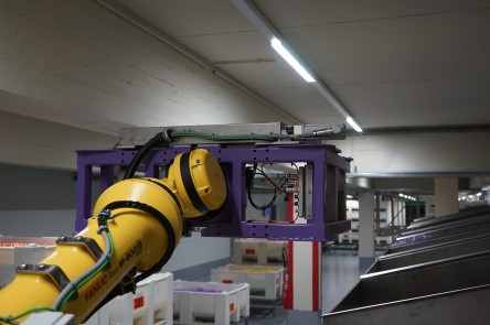 Robot gripper