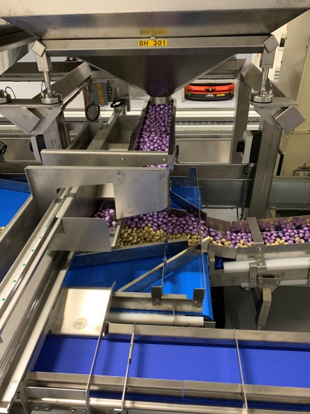 mixing mondelez