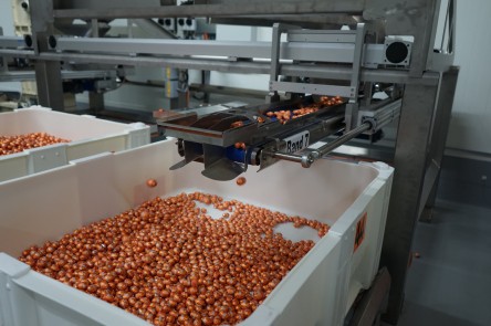 Pallet boxes mondelez