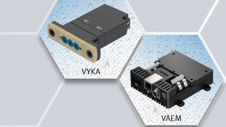 Vyka and VAEM 