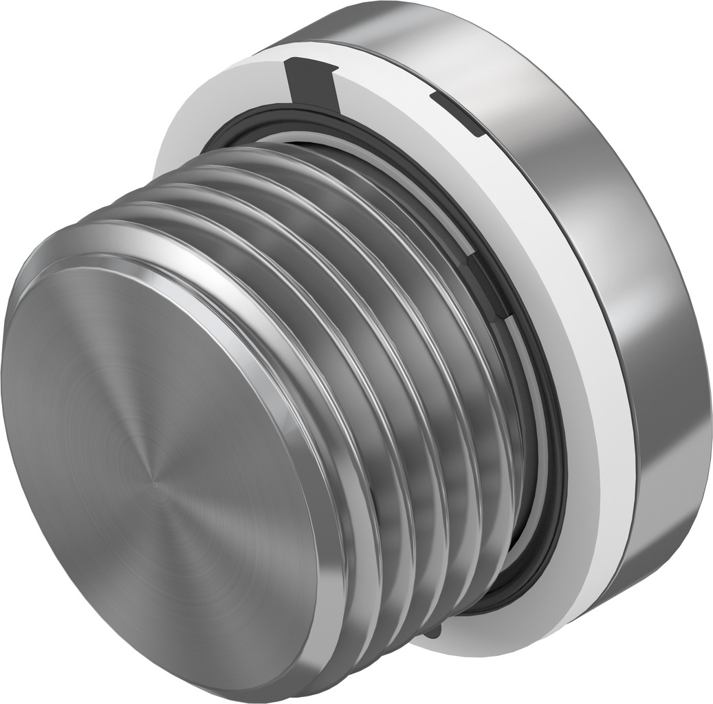 Blanking plug