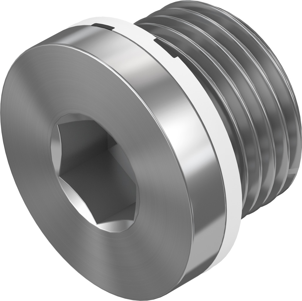 Blanking plug