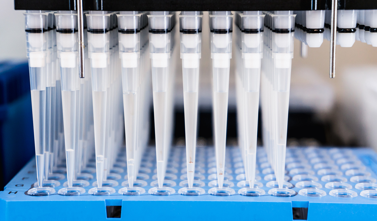 High throughput diagnostics