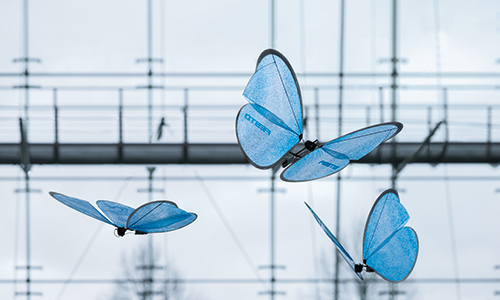 01_eMotionButterflies