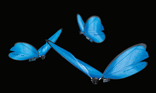04_eMotionButterflies