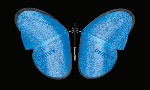 06_eMotionButterflies