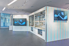 Motion Lab