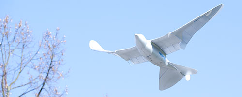 Neue Denkanstösse und Überträge für die Automation: SmartBird