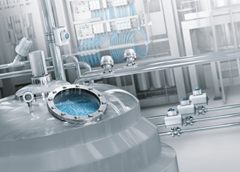 Process Valves