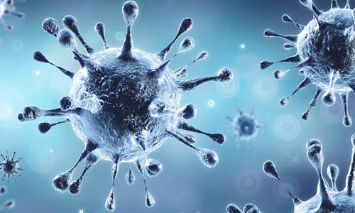 Coronavirus