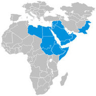 Festo MENA