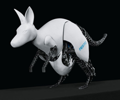 BionicKangaroo
