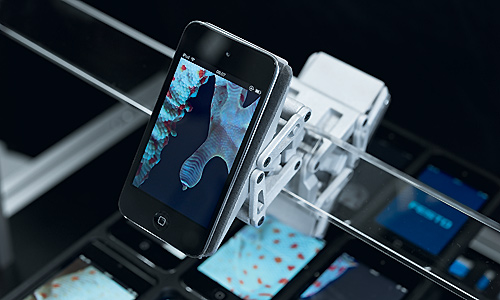 The NanoForceGripper: Bionics as an idea generator for automation technology