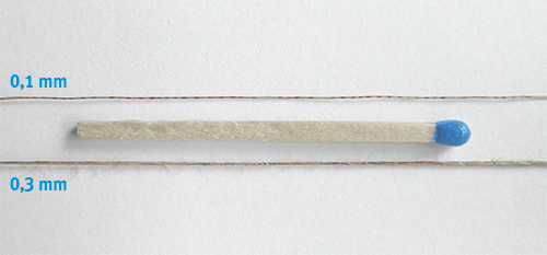 A match by comparison: the thinnest fibre in the muscle is just 0.1 mm thick. If you look at a standard match, you can see how thin and sensitive every single fibre is