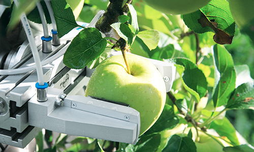 CROPS research project develops harvesting robot