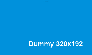 dummy