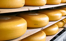 Cheese wheels