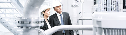 Компетентность Festo