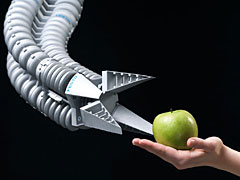 Bionic Handling Assistant