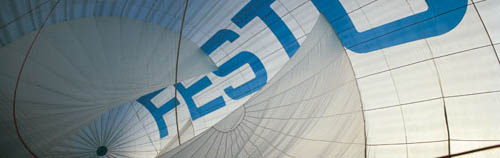 Festo simble