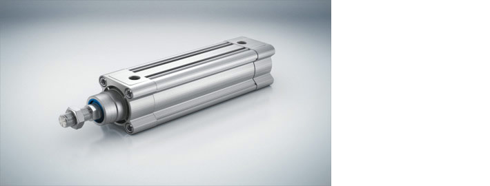 Standard cylinder DSBC